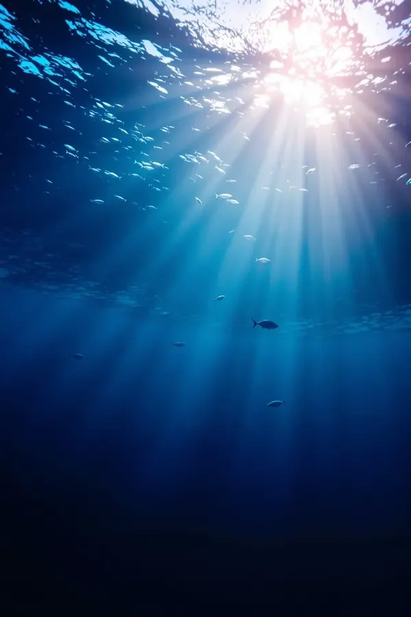 深海折光 海报